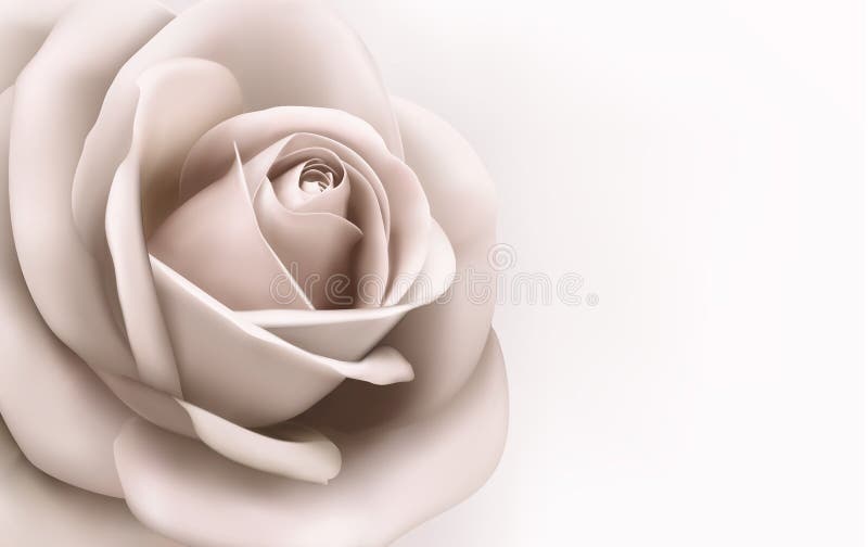 Tappningbakgrund med en härlig rosa färgros. Vec stock illustrationer