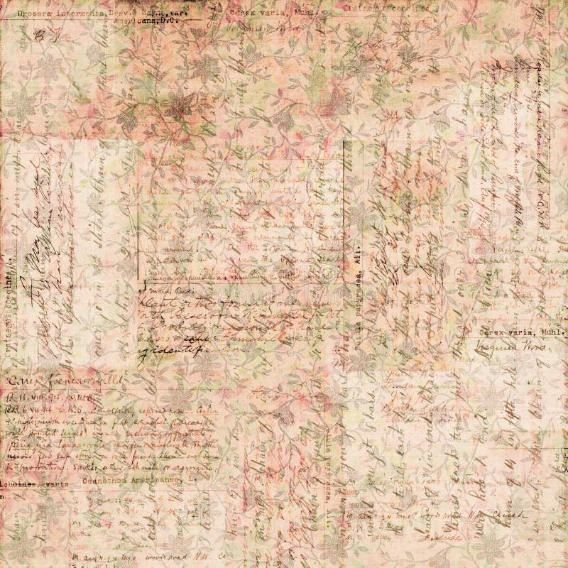 Tappningbrunt och blom- bakgrund för rosa grungy urblekt sjaskigt stilabstrakt begrepp stock illustrationer