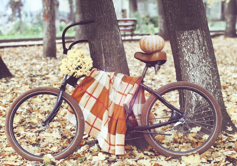 Tappningcykel som dekoreras med pumpking och blommor arkivbild Tappningcykel som dekoreras med pumpking och blommor arkivbild