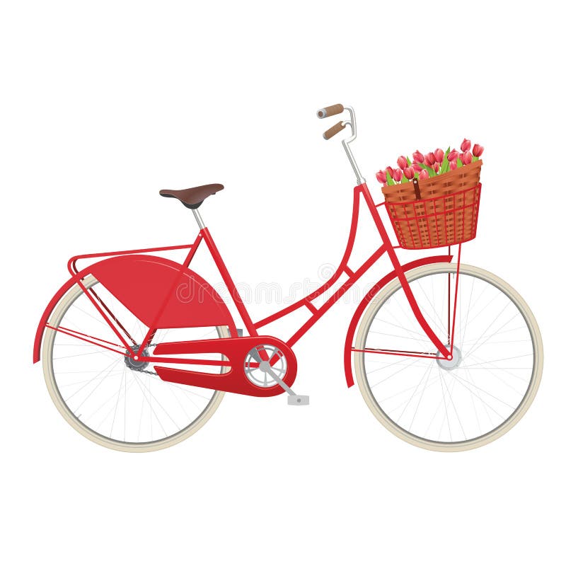 Tappningdamtoalettcykel med den vide- korgen royaltyfri illustrationer
