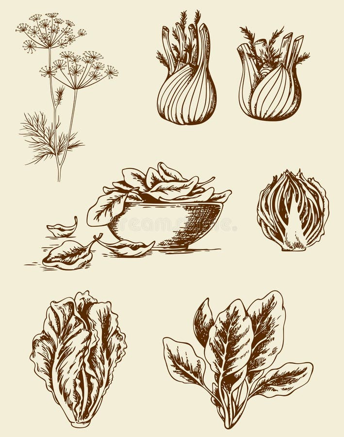 Tappninggrönsaker stock illustrationer Tappninggrönsaker stock illustrationer