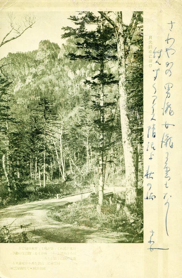 Japan - Circa 1915: Vintage postcard printed in Japan shows summer forest at the mountains, circa 1915. Japan - Circa 1915: Vintage postcard printed in Japan shows summer forest at the mountains, circa 1915