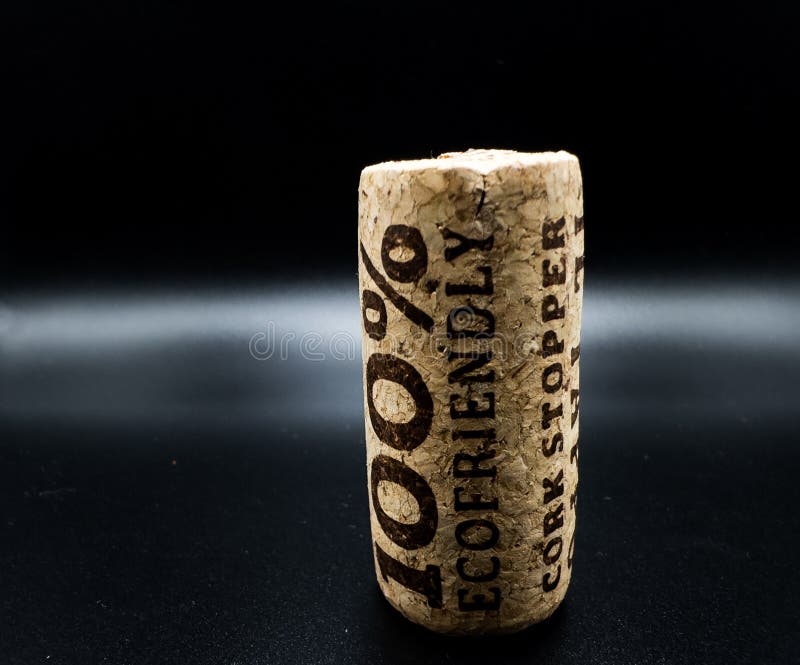 100 tappo di sughero ecologico. tappo di legno immagine stock libera da diritti