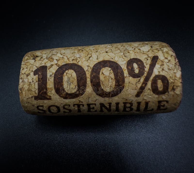 100 tappo di sughero ecologico. tappo di legno. Questo è un tappo di sughero di legno di 100 ecofricamente per vino.