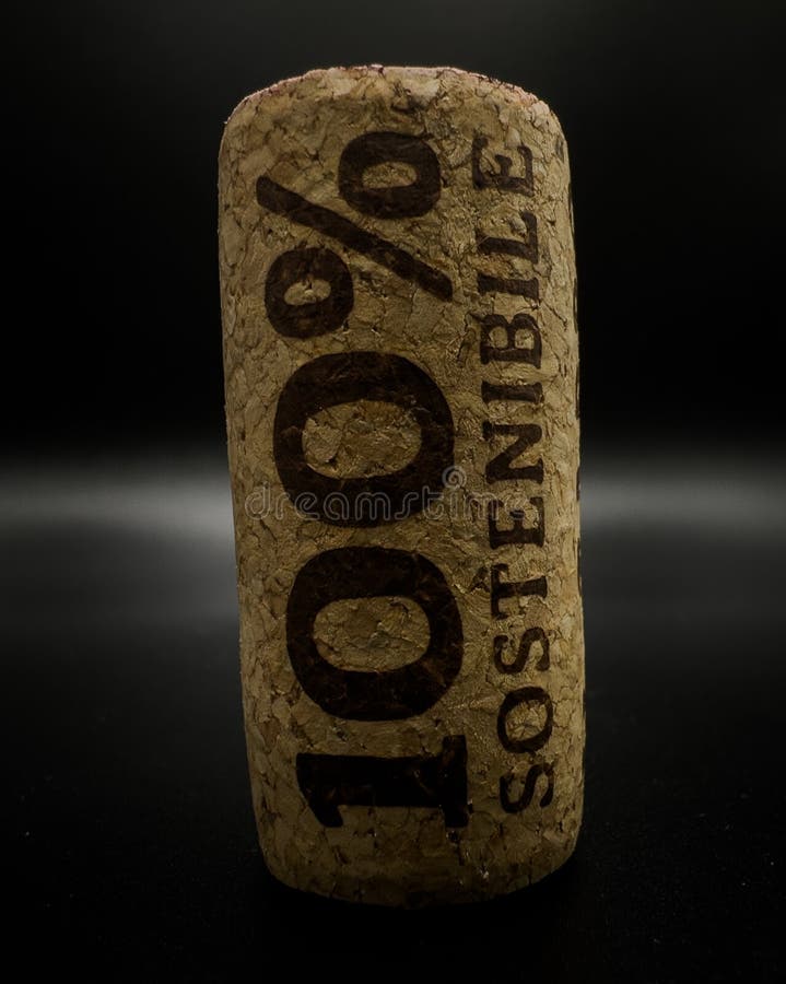 100 tappo di sughero ecologico. tappo di legno fotografia stock libera da diritti