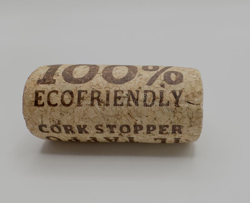 100 tappo di sughero ecologico. tappo di legno fotografia stock