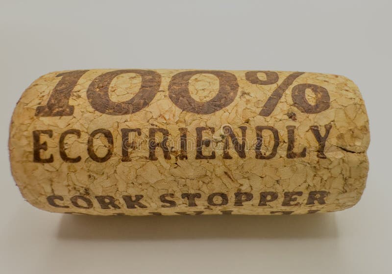 100 tappo di sughero ecologico. tappo di legno immagine stock libera da diritti