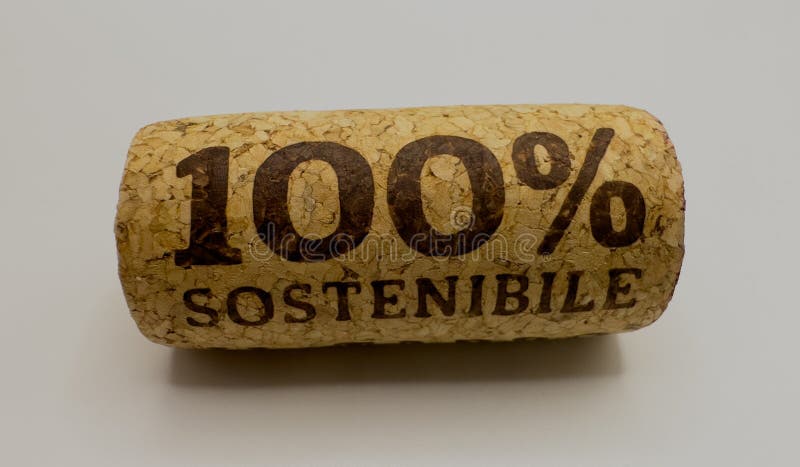 100 tappo di sughero ecologico. tappo di legno immagini stock libere da diritti