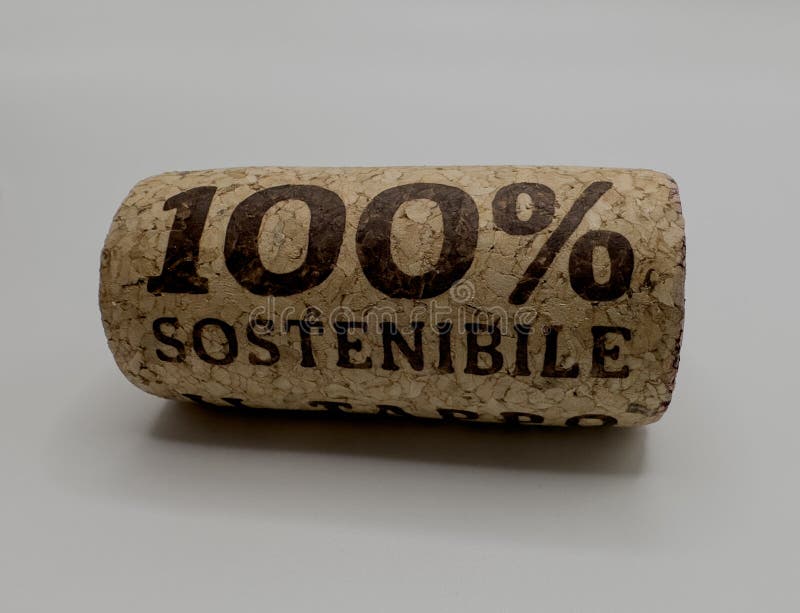 100 tappo di sughero ecologico. tappo di legno fotografia stock