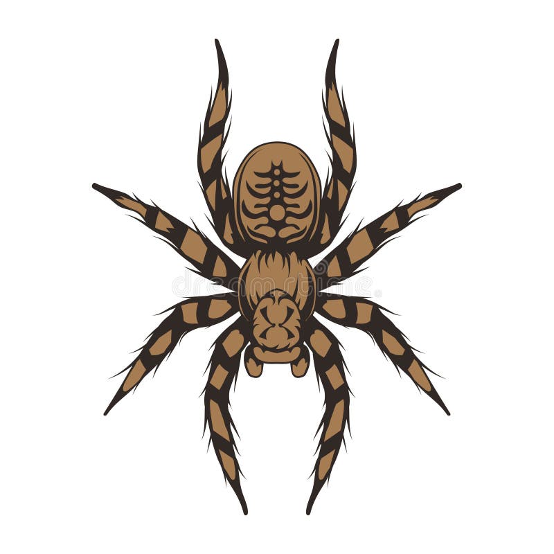 20 Scary Spider Tattoos  SloDive