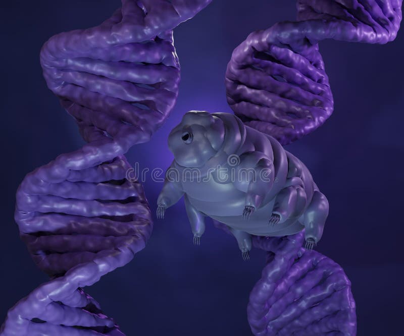 Tardigrade Stock Illustrations 218 Tardigrade Stock Illustrations