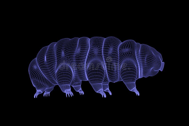 Tardígrado, representación del wireframe del oso 3d del agua en fondo negro ilustración del vector Tardígrado, representación del wireframe del oso 3d del agua en fondo negro ilustración del vector