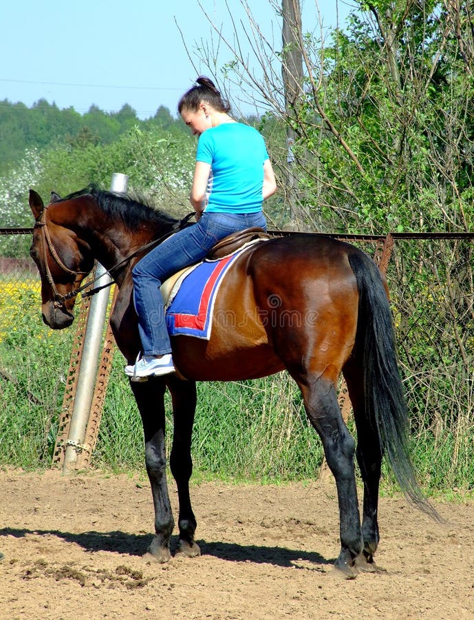 Rolling on a horse in a club. Rolling on a horse in a club