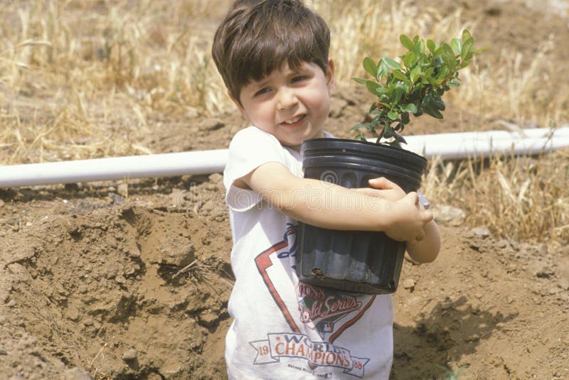 A boy holding a tree to be planted on Earth Day. A boy holding a tree to be planted on Earth Day