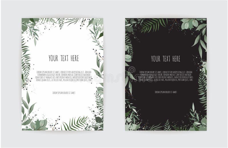 Tarjeta botánica con las flores salvajes, hojas Concepto del ornamento de la primavera El cartel floral, invita ilustración del vector Tarjeta botánica con las flores salvajes, hojas Concepto del ornamento de la primavera El cartel floral, invita ilustración del vector