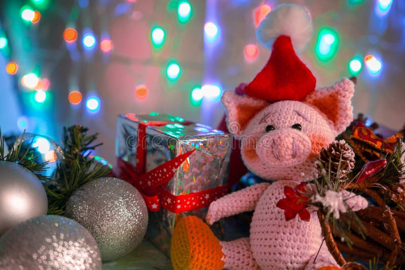 Tarjeta de felicitación divertida con el Año Nuevo 2019 Cerdo rosado con las bolas, el regalo y el cono de Navidad en fondo con l imagen de archivo libre de regalías Tarjeta de felicitación divertida con el Año Nuevo 2019 Cerdo rosado con las bolas, el regalo y el cono de Navidad en fondo con l imagen de archivo libre de regalías