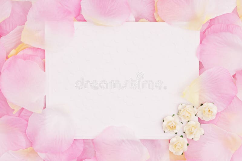 Tarjeta de felicitación en blanco del amor en los pétalos color de rosa rosados de la flor imágenes de archivo libres de regalías Tarjeta de felicitación en blanco del amor en los pétalos color de rosa rosados de la flor imágenes de archivo libres de regalías