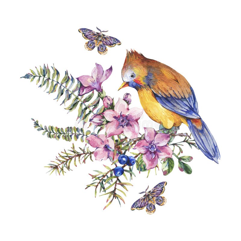 Tarjeta de felicitación floral del bosque del vintage de la acuarela con el pájaro, bayas, polilla, helecho, flores rosadas libre illustration Tarjeta de felicitación floral del bosque del vintage de la acuarela con el pájaro, bayas, polilla, helecho, flores rosadas libre illustration