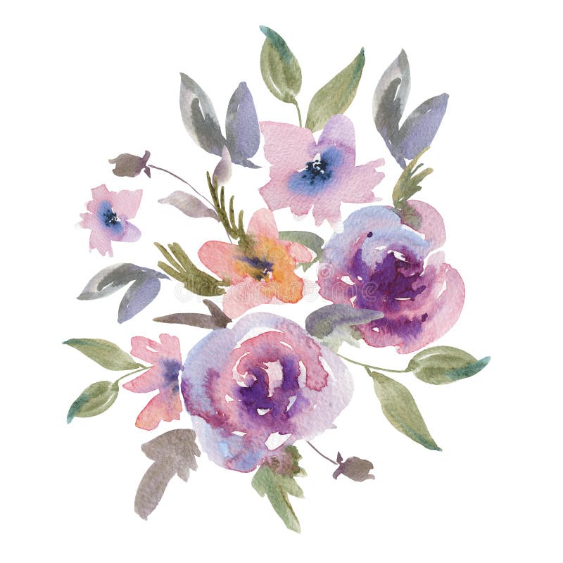 Tarjeta de felicitación floral de las rosas púrpuras apacibles de la acuarela libre illustration Tarjeta de felicitación floral de las rosas púrpuras apacibles de la acuarela libre illustration