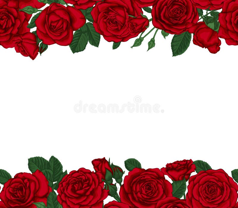 Tarjeta De Invitación De Boda De Lujo Con Rosas Rojas Y Hojas. Tarjeta De Saludo De Diseño E Invitación Al Cumpleaños De La Boda Ilustración del Vector - Ilustración de color, fila: Tarjeta De Invitación De Boda De Lujo Con Rosas Rojas Y Hojas. Tarjeta De Saludo De Diseño E Invitación Al Cumpleaños De La Boda Ilustración del Vector - Ilustración de color, fila: