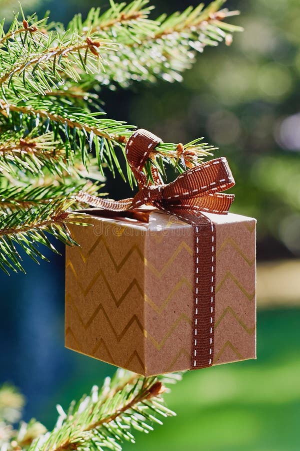 Tarjeta de los días de fiesta de la Navidad y del Año Nuevo Ejecución de la caja de regalo en rama del abeto en fondo del verde a fotografía de archivo Tarjeta de los días de fiesta de la Navidad y del Año Nuevo Ejecución de la caja de regalo en rama del abeto en fondo del verde a fotografía de archivo