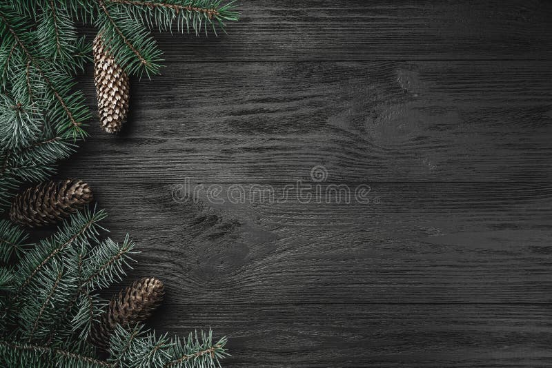 Tarjeta de Navidad Fondo de madera negro con las ramas y los conos de abeto en el lado, visión superior fotografía de archivo Tarjeta de Navidad Fondo de madera negro con las ramas y los conos de abeto en el lado, visión superior fotografía de archivo
