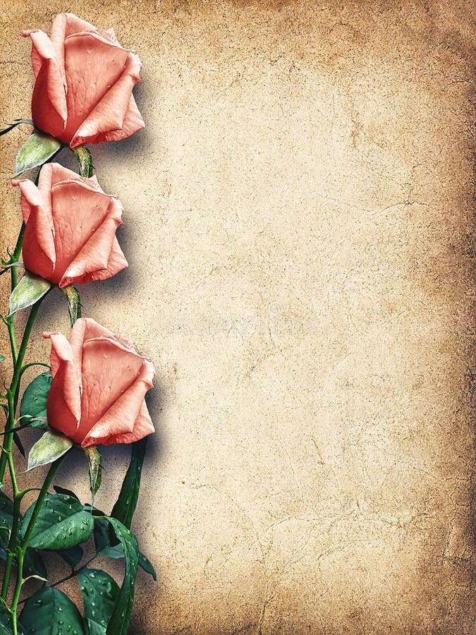 Tarjeta del vintage para la enhorabuena con las rosas rosadas imágenes de archivo libres de regalías Tarjeta del vintage para la enhorabuena con las rosas rosadas imágenes de archivo libres de regalías