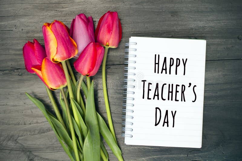 Tarjeta feliz del día del ` s del profesor imagen de archivo libre de regalías Tarjeta feliz del día del ` s del profesor imagen de archivo libre de regalías