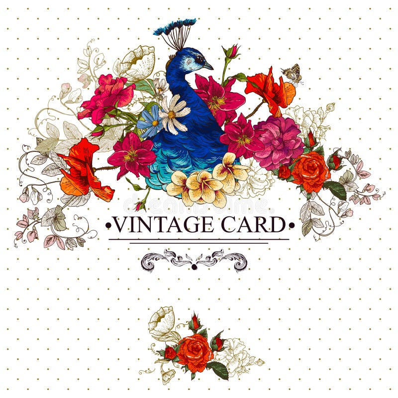 Tarjeta floral del vintage con el pavo real libre illustration Tarjeta floral del vintage con el pavo real libre illustration