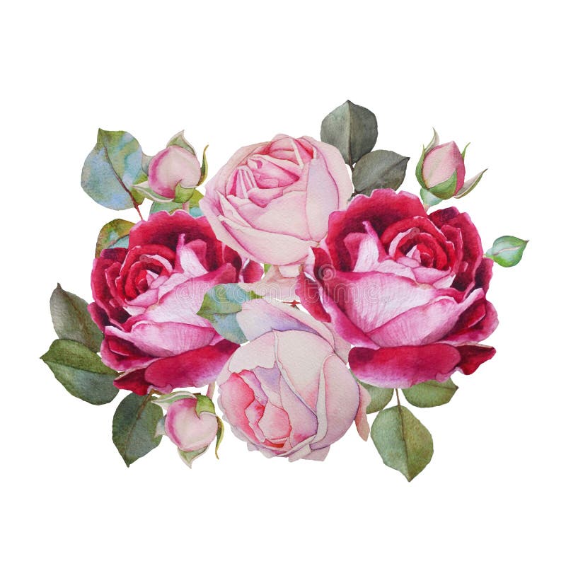 Tarjeta floral Ramo de rosas de la acuarela Ilustración libre illustration Tarjeta floral Ramo de rosas de la acuarela Ilustración libre illustration