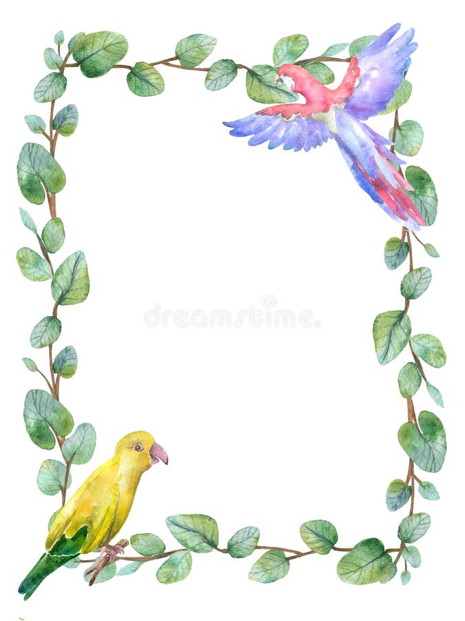 Tarjeta floral verde del marco de la acuarela con las hojas redondas del eucalipto del dólar de plata stock de ilustración Tarjeta floral verde del marco de la acuarela con las hojas redondas del eucalipto del dólar de plata stock de ilustración