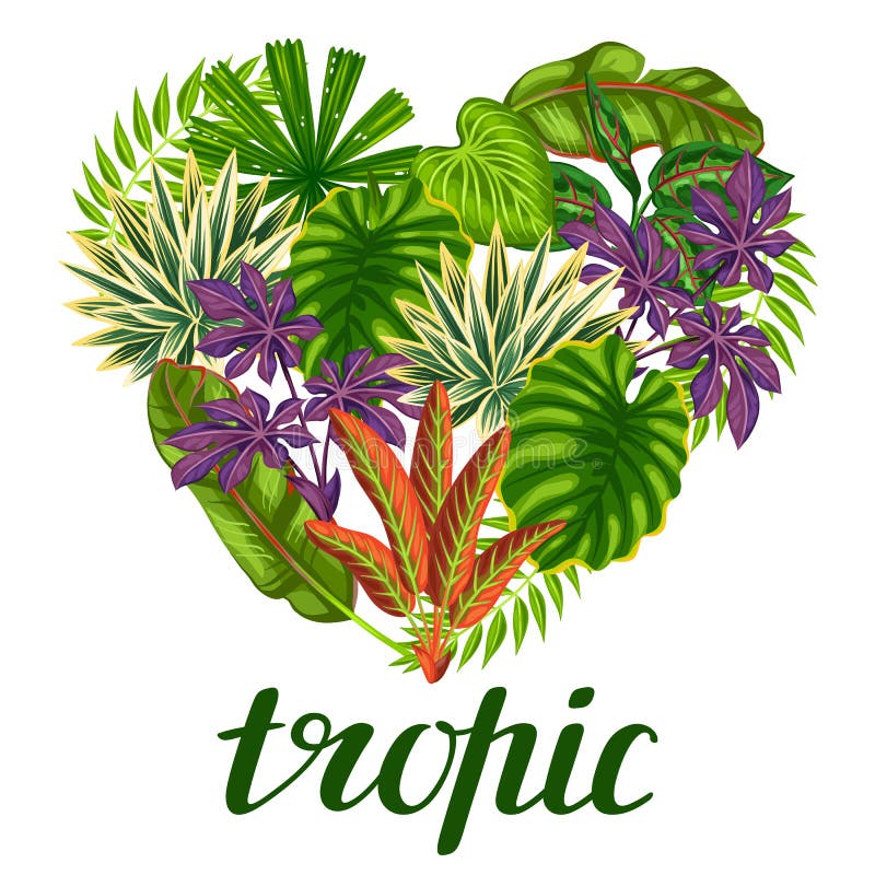 Tarjeta tropical del paraíso con las plantas y las hojas estilizadas ilustración del vector Tarjeta tropical del paraíso con las plantas y las hojas estilizadas ilustración del vector