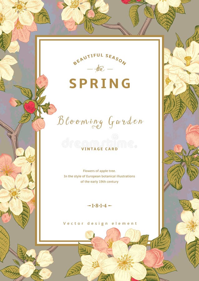 Tarjeta vertical de la primavera del vector del vintage stock de ilustración Tarjeta vertical de la primavera del vector del vintage stock de ilustración
