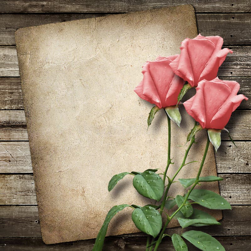 Tarjeta vieja del vintage y un ramo de rosas fotos de archivo Tarjeta vieja del vintage y un ramo de rosas fotos de archivo