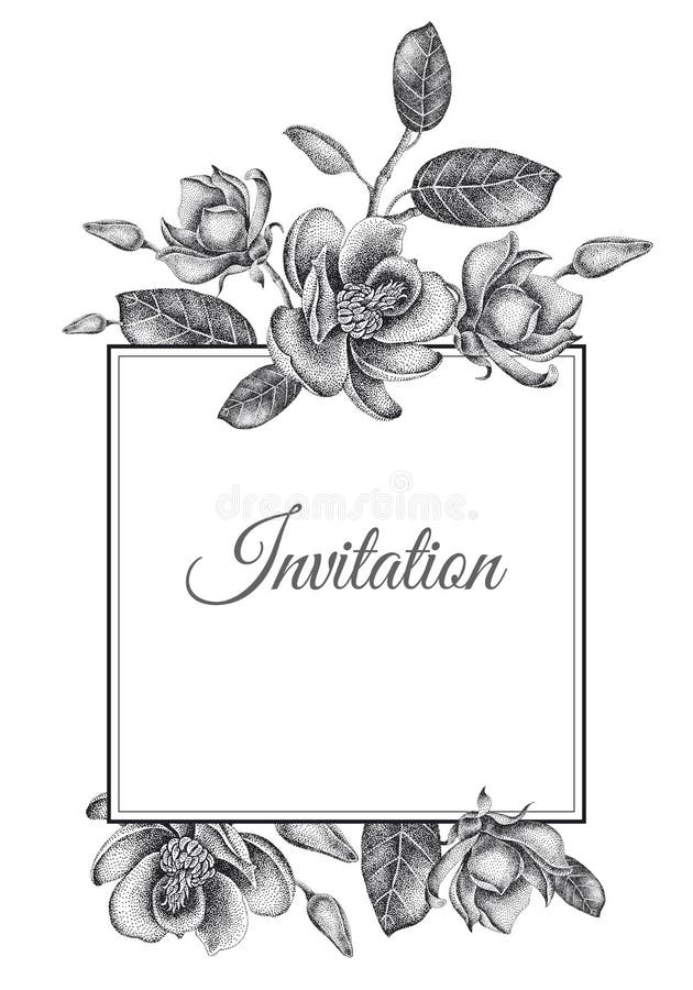 Tarjetas De Las Plantillas De Las Invitaciones De La Boda Con Las Magnolias  De Las Flores Ilustración del Vector - Ilustración de follaje, antiguo:  123634790