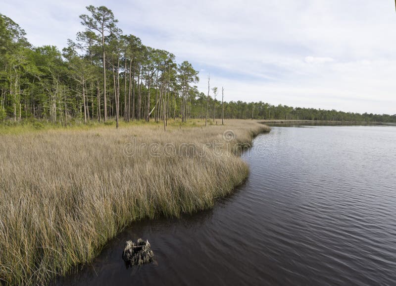 Tarkiln flodarm på den Perdido fjärden i Florida royaltyfri foto Tarkiln flodarm på den Perdido fjärden i Florida royaltyfri foto