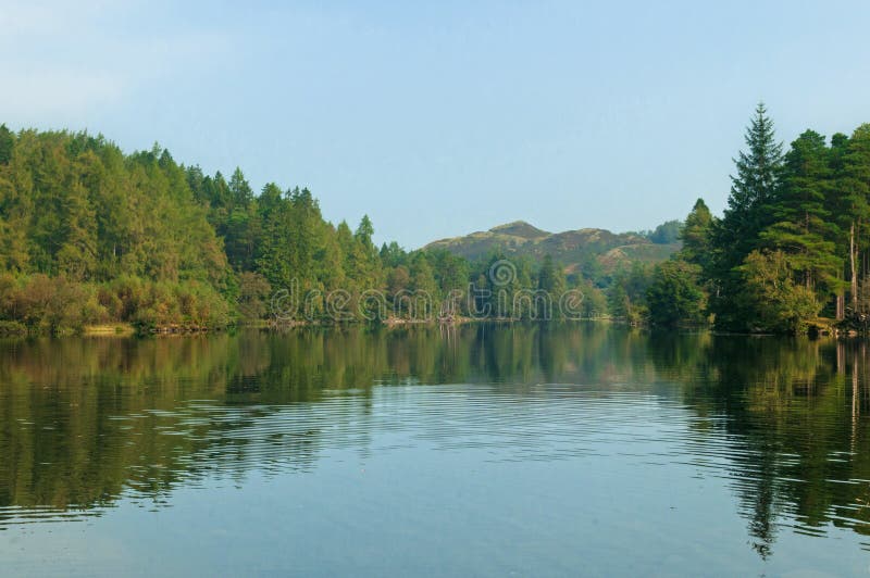 Tarn Hows English Lake District Cumbria National Park stock images Tarn Hows English Lake District Cumbria National Park stock images