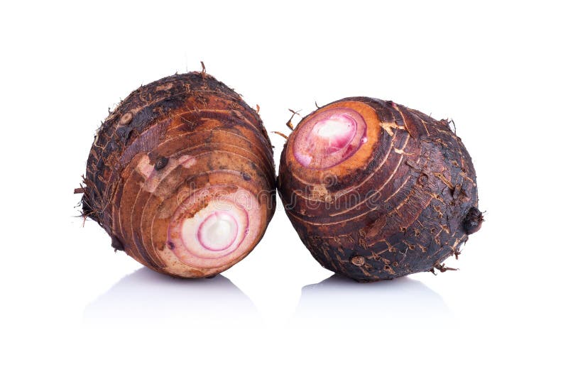 Taro aislado en el fondo blanco imagenes de archivo