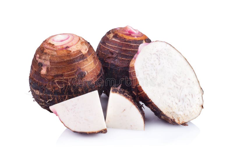 Taro aislado en el fondo blanco imagenes de archivo