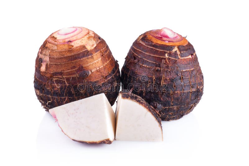 Taro aislado en el fondo blanco fotos de archivo