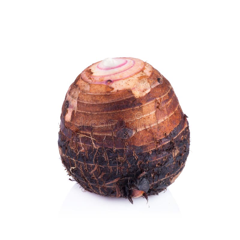Taro aislado en el fondo blanco fotos de archivo libres de regalías
