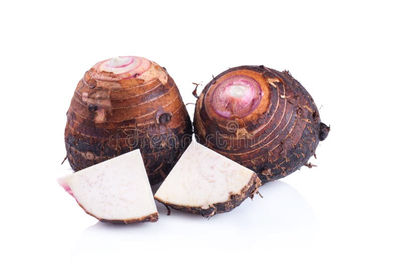 Taro en el fondo blanco fotos de archivo