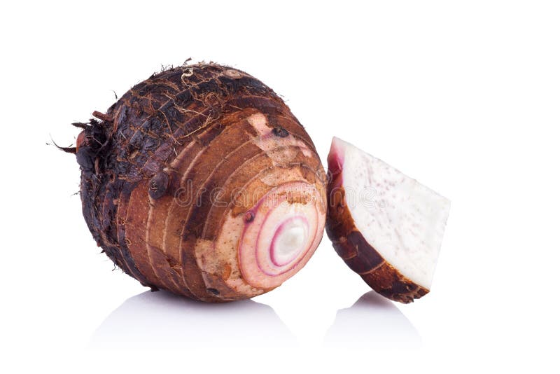 Taro en el fondo blanco fotos de archivo
