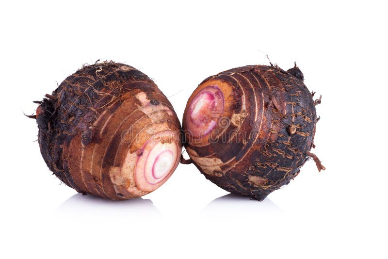 Taro en el fondo blanco imágenes de archivo libres de regalías