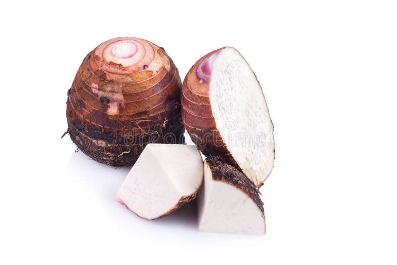 Taro en el fondo blanco imagen de archivo