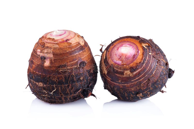 Taro en un fondo blanco fotos de archivo libres de regalías