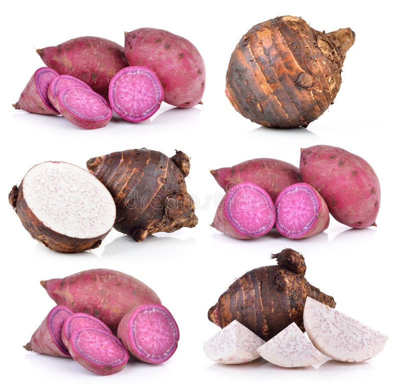Taro Roots and Sweet Potato on White Background Stock Image Image of