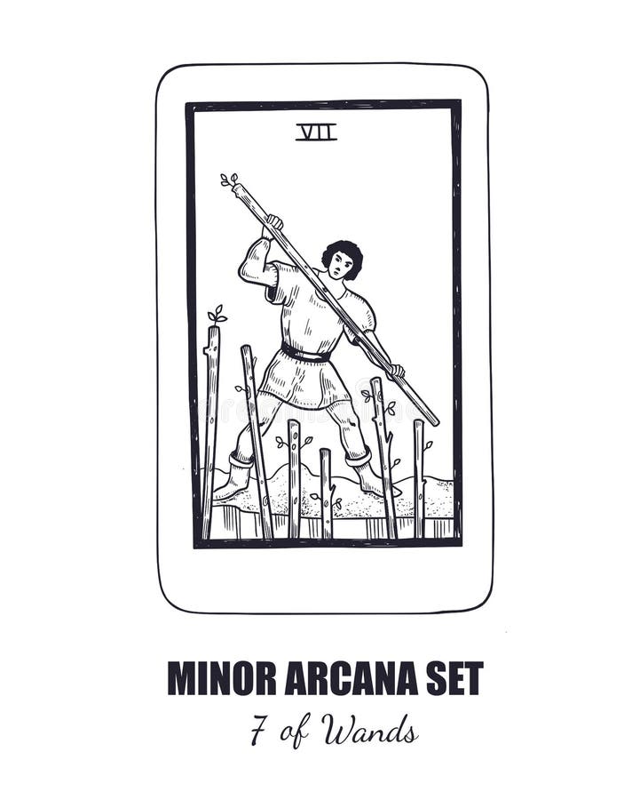 Tarot Set. Vector Minor Arcana . 7 of Wands Stock Vector Illustration of fantasy, sacred