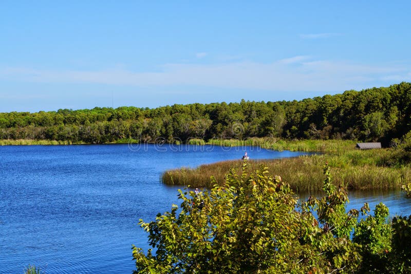 Tarpone del lago un bello giorno di Florida fotografia stock libera da diritti Tarpone del lago un bello giorno di Florida fotografia stock libera da diritti