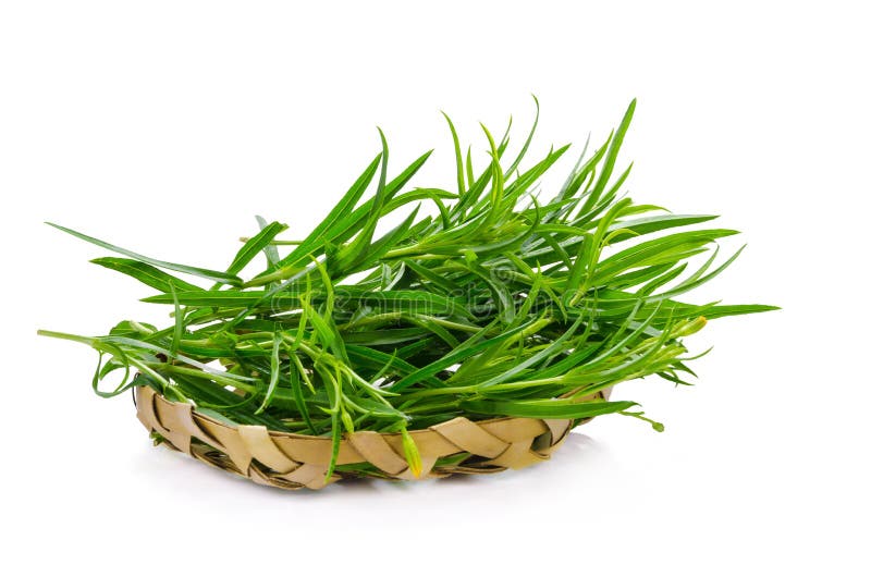 Tarragon Herbs Close Up Isolated on White Stock Image Image of food, cooking 71345945